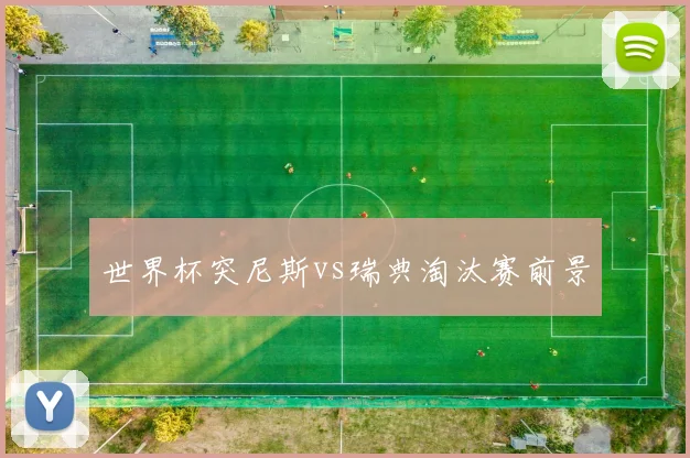 世界杯突尼斯vs瑞典淘汰赛前景
